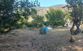 Campement des bailes